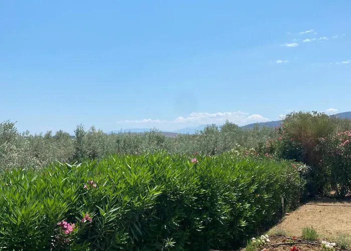 Georges Villa Galaxidi, Family, Pool And Garden