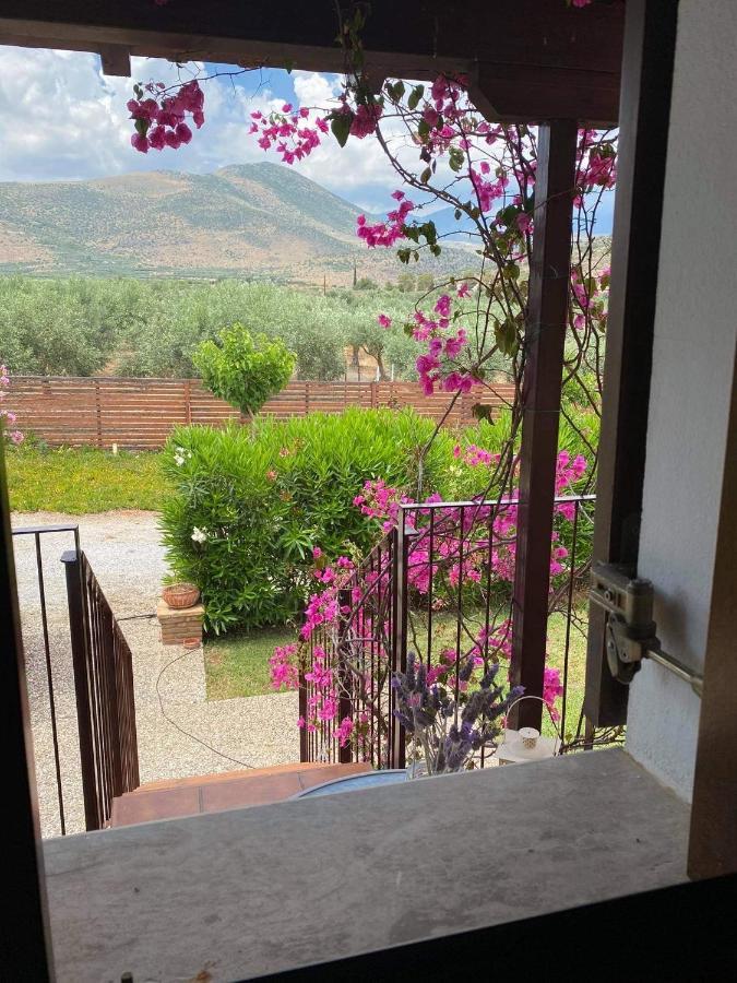 Georges Galaxidi, Family, Pool And Garden Galaxídhion