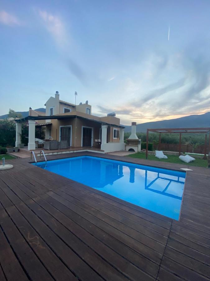 Georges Galaxidi, Family, Pool And Garden Galaxidi