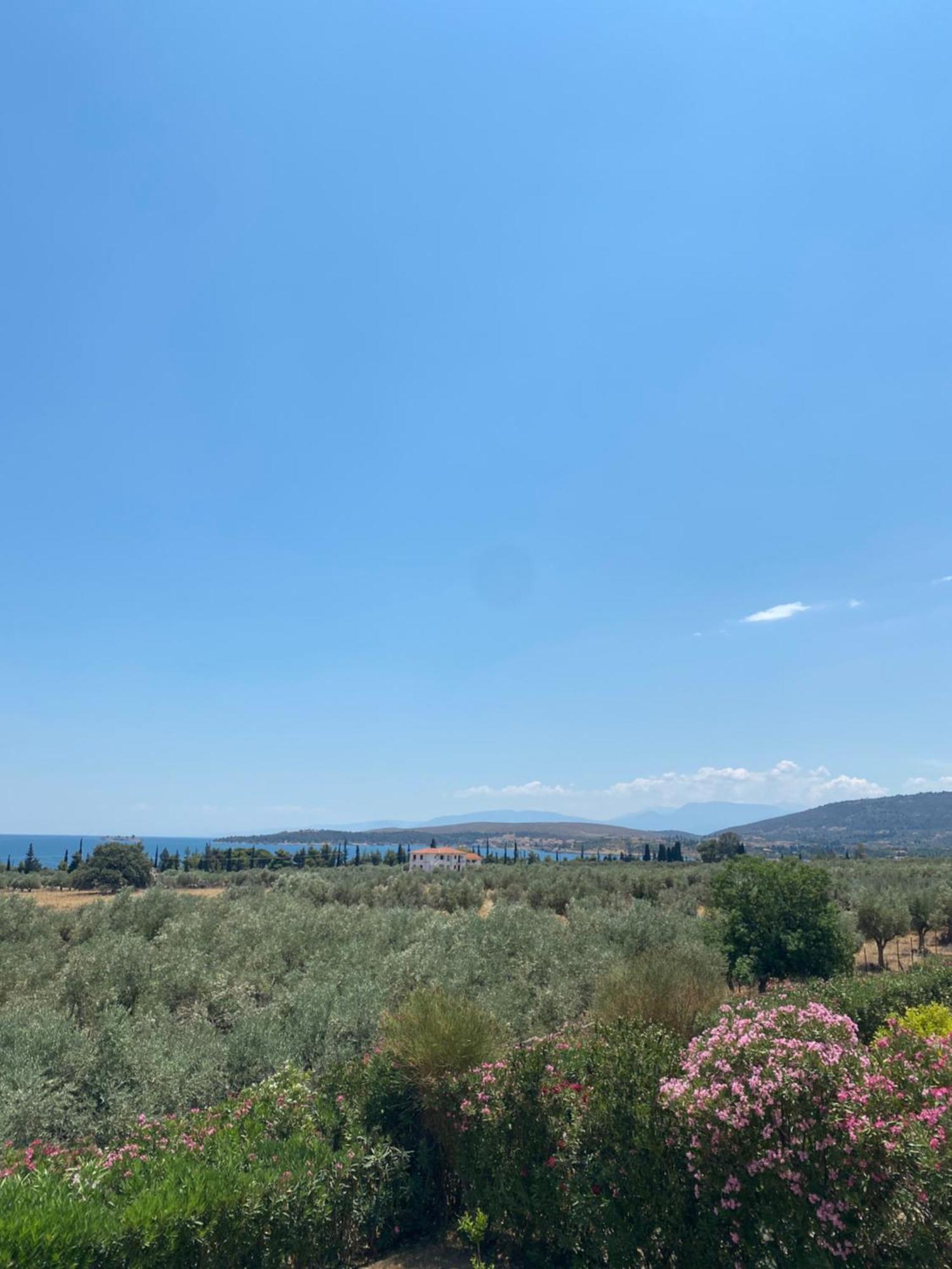 Georges Galaxidi, Family, Pool And Garden Villa