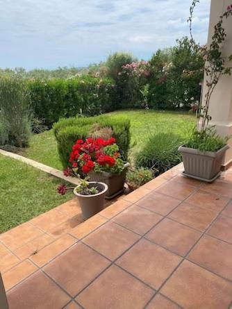 Georges Galaxidi, Family, Pool And Garden Galaxidi