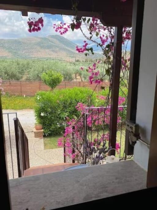 Villa Georges Galaxidi, Family, Pool And Garden