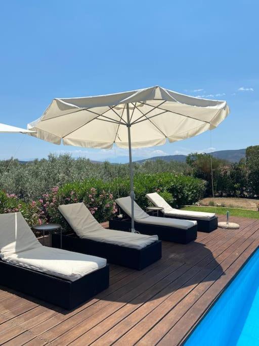 Villa Georges Galaxidi, Family, Pool And Garden